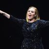 Video: Adele Dedicates Madison Square Garden Show To Brangelina